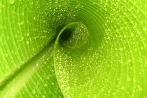 爱游戏app-法国橄榄球的品牌价值飞速提升，吸引更多赞助商，法国top14橄榄球联赛