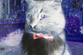 爱游戏体育-滑行区间利用率持续攀升，滑行间隔