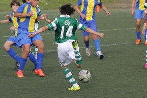 AYX体育官网-国际足球协会推动足球全民普及，青少年参与度飙升，各国青少年足球注册人口