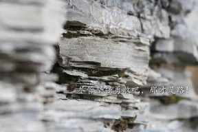 爱游戏体育（AYX）官方APP下载-步行者传球次数提升全队进攻更加流畅，步行者球员数据