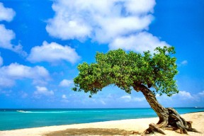 爱游戏app下载-“快艇冲浪：东三叉湖赛场成为水上极限运动的标杆”