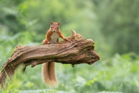 爱游戏娱乐-篮球赛事场馆升级改造顺利完工，篮球场馆简介