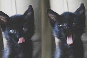 爱游戏体育APP下载-奥预赛中国青年队平局 球迷关注球队状态，中国青年联赛