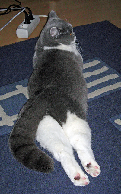 CBA球队鼓励球员自主学习增强比赛理解,cba球员训练内容