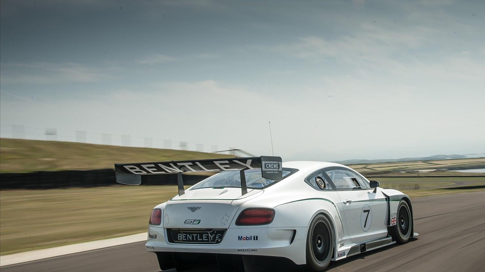 全国青少年马术公开赛在上海举办,2021上海市青少年马术公开赛