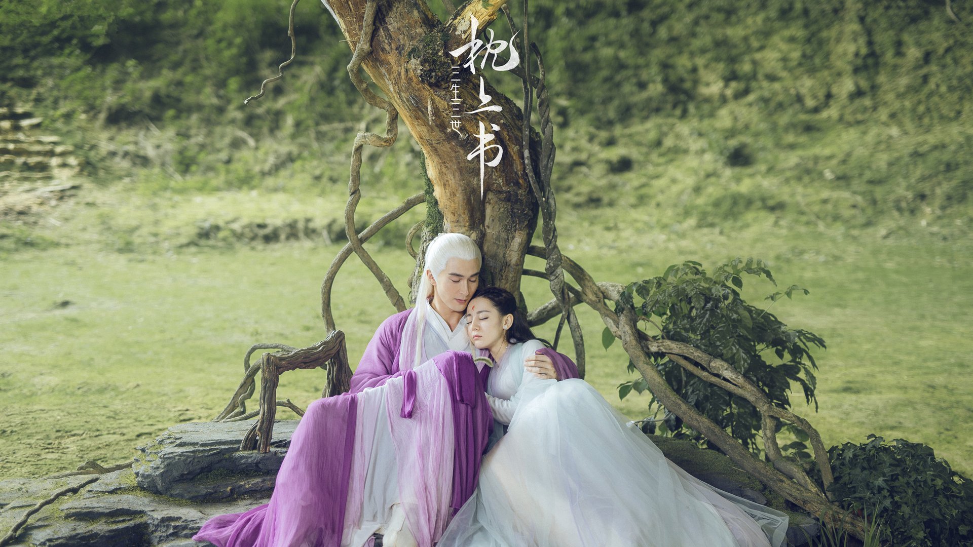 国际马术公开赛首次落地成都,国际马术大师赛