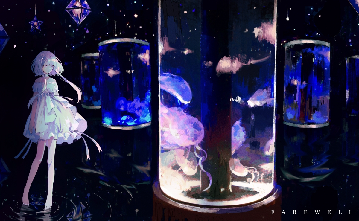 女子蝶泳划频与呼吸节奏关系,蝶泳划水路线动态图