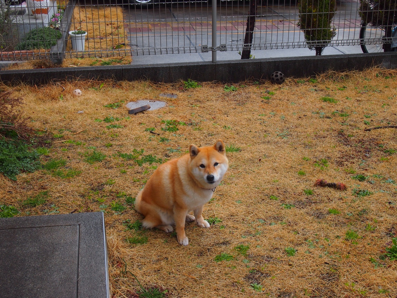 惨败引发巨大舆论压力,球队或将面临内部调整。,球队现状