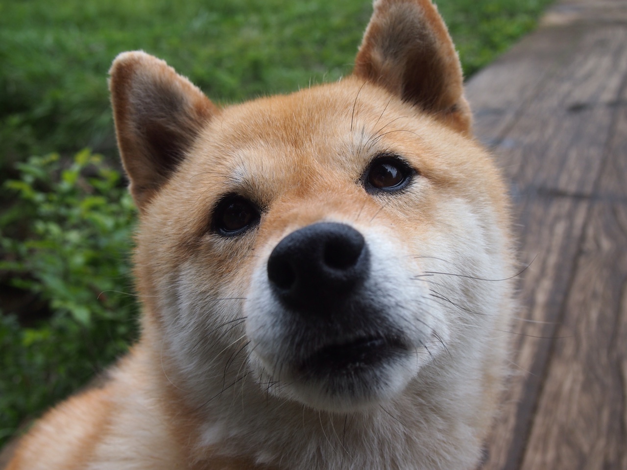 教练组宣布赛后战术调整计划,教练把比赛的规则又详细的说了一遍