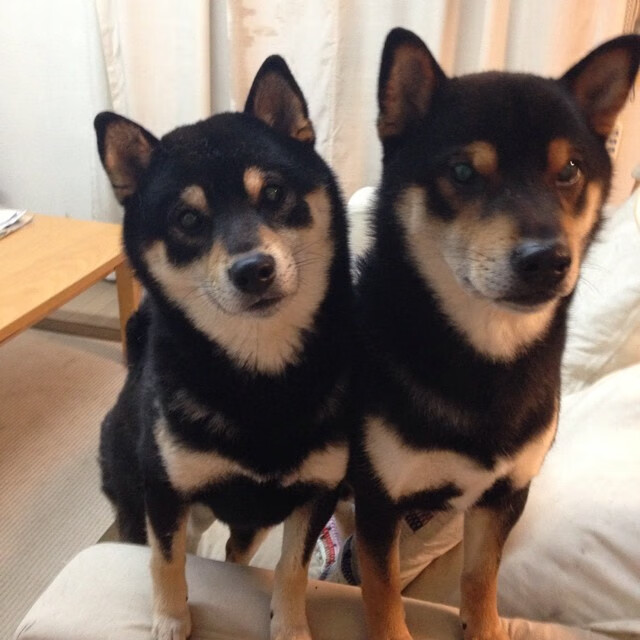 职业联赛技术统计体系未完全统一