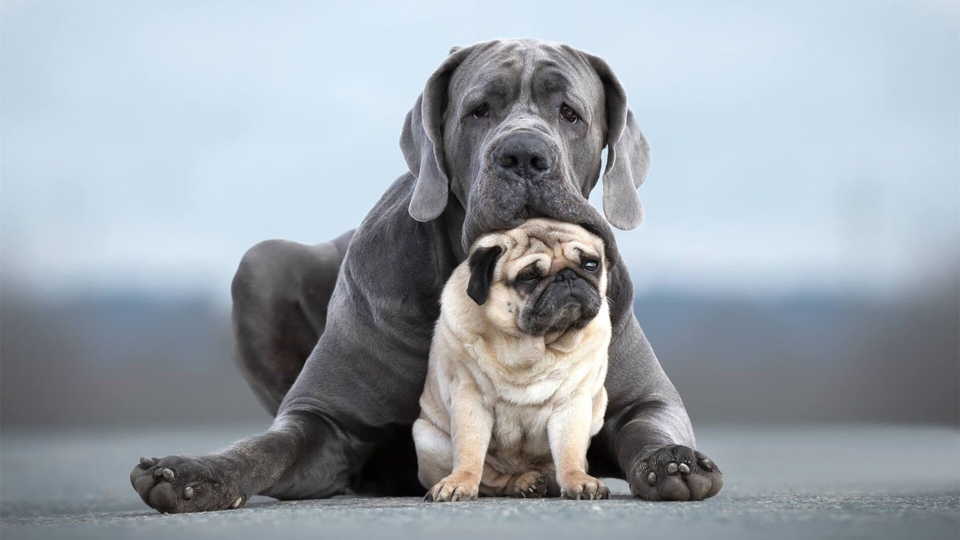 凯尔特人小前锋接受专家治疗推进康复计划，小凯尔特人值得入手