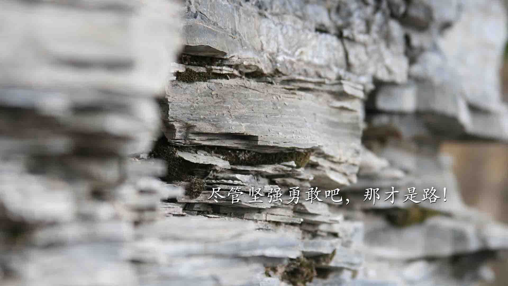 步行者传球次数提升全队进攻更加流畅,步行者球员数据