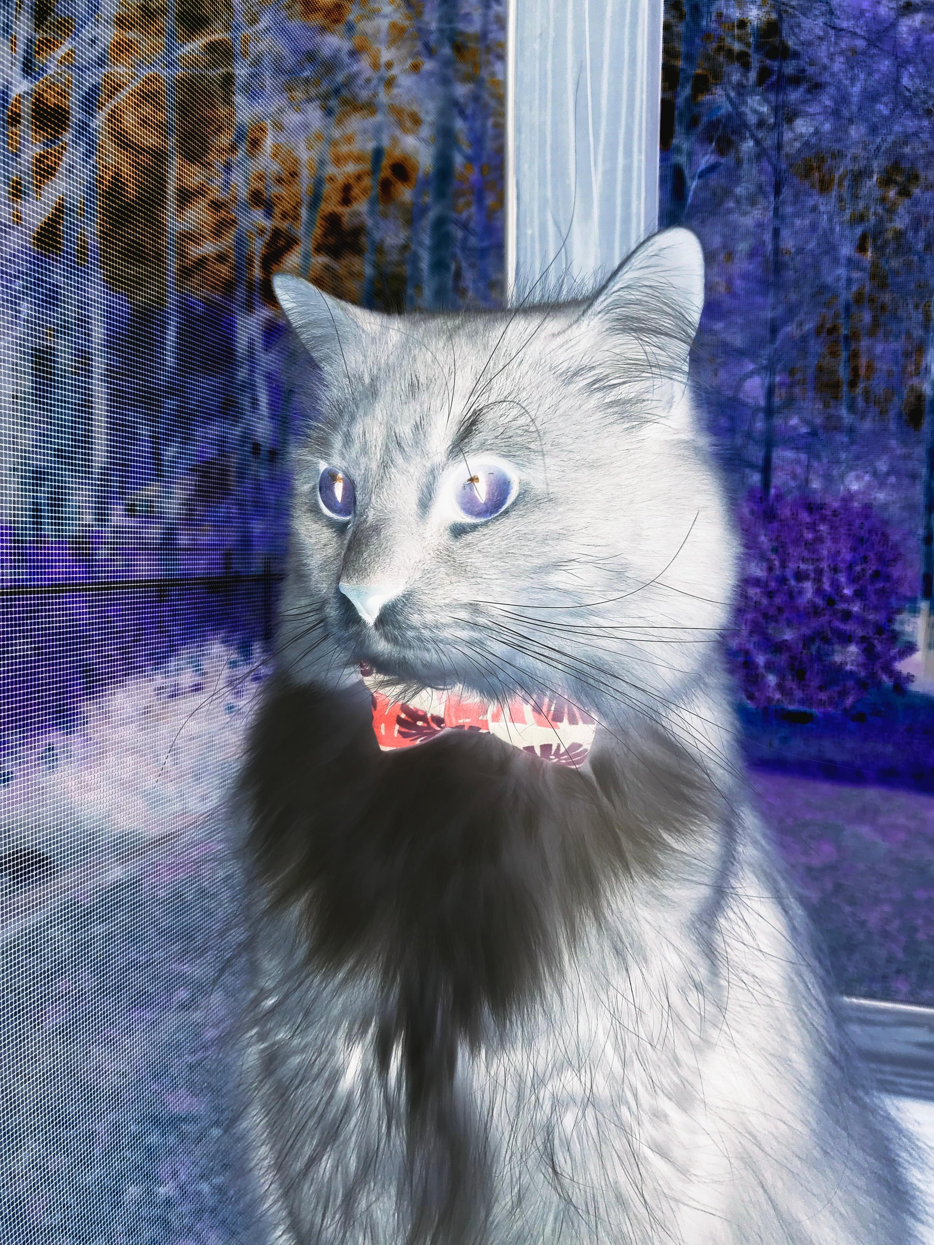 约翰·恩多耶-布鲁阿尔后半程爆发力夺人眼球,恩内斯特·布鲁佛