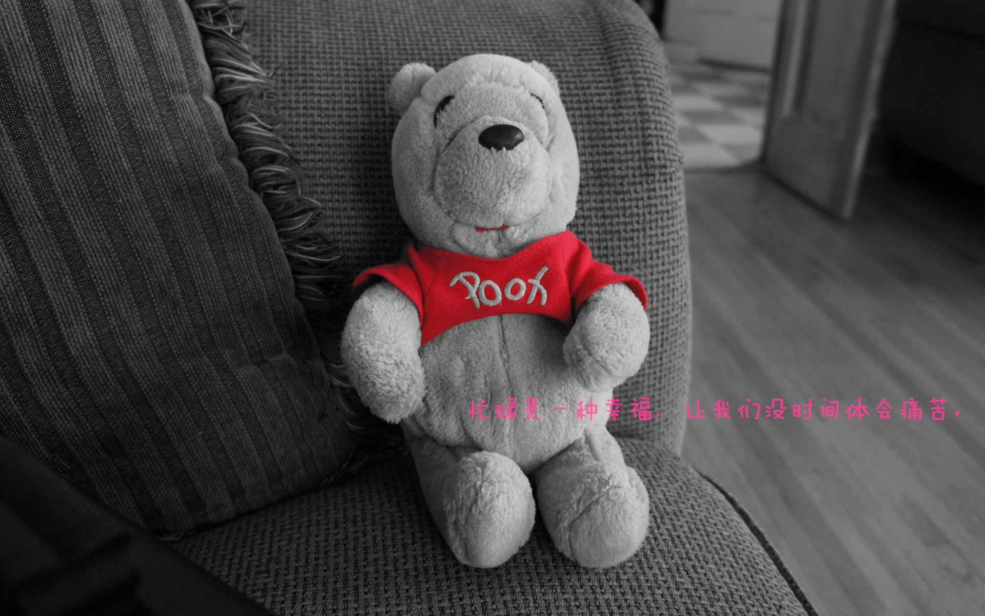 《冠军奥运篇》独家：武桐桐浴火重生大揭秘！，武桐桐女篮图片